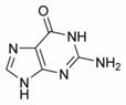 Estructura qumica de la Guanina