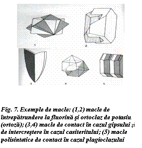 Text Box:  
 


Fig. 7. Exemple de macle: (1,2) macle de intrepatrundere la fluorina si ortoclaz de potasiu (ortoza); (3,4) macle de contact in cazul gipsului si de intercrestere in cazul casiteritului; (5) macle polisintetice de contact in cazul plagioclazului
