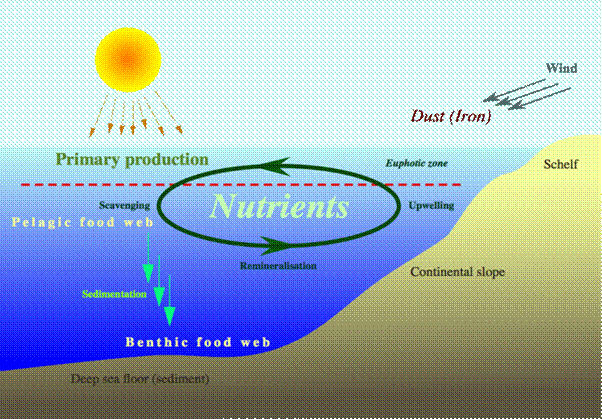 File:Nutrient-cycle hg.png