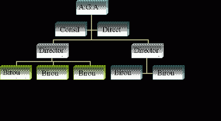 Organization Chart