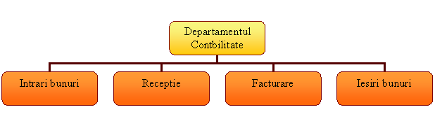 Organization Chart