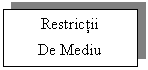 Text Box: Restrictii
De Mediu
