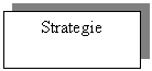 Text Box: Strategie 
De Pret
