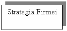 Text Box: Strategia Firmei