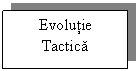 Text Box: Evolutie Tactica