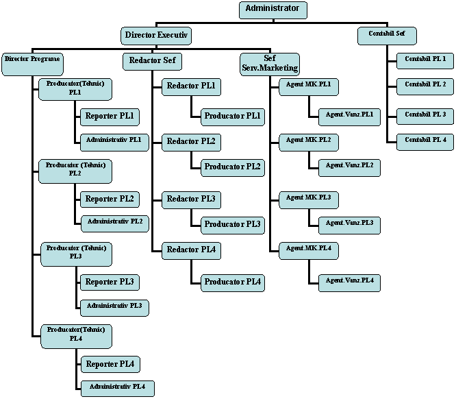 Organization Chart