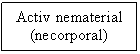 Text Box: Activ nematerial
(necorporal)
