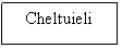 Text Box: Cheltuieli

