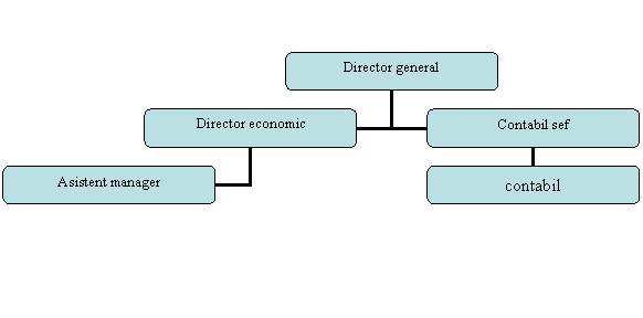 Organization Chart