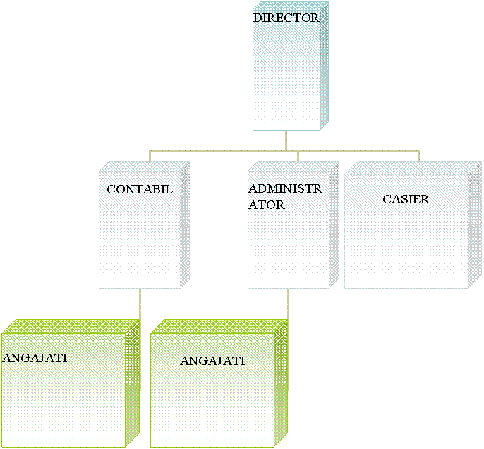 Organization Chart