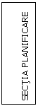 Text Box: SECTIA PLANIFICARE