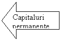 Left Arrow: Capitaluri permanente