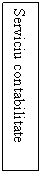 Text Box: Serviciu contabilitate