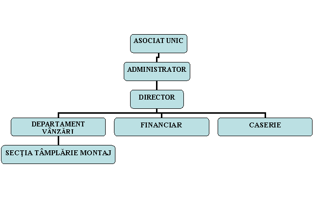 Organization Chart