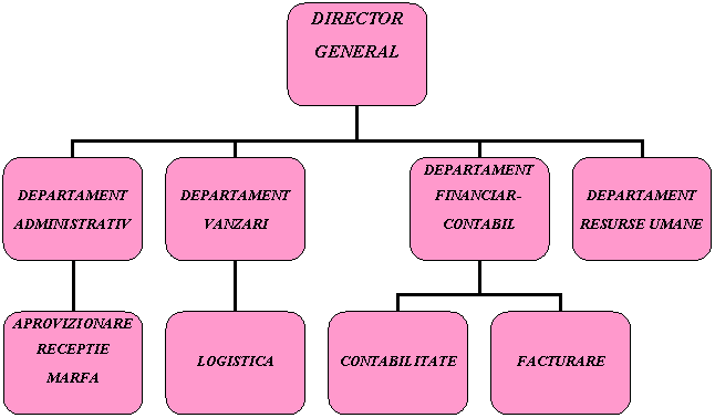 Organization Chart