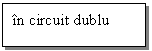 Text Box: in circuit dublu      