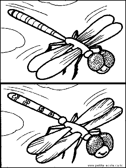 E:DIVERSEImagini de colorat pt copii (din desene animate)Jeuxles 7 erreurs de l'abeille en plein vol.gif
