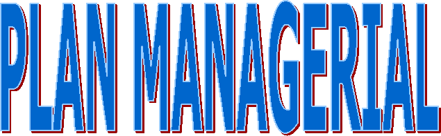 PLAN MANAGERIAL