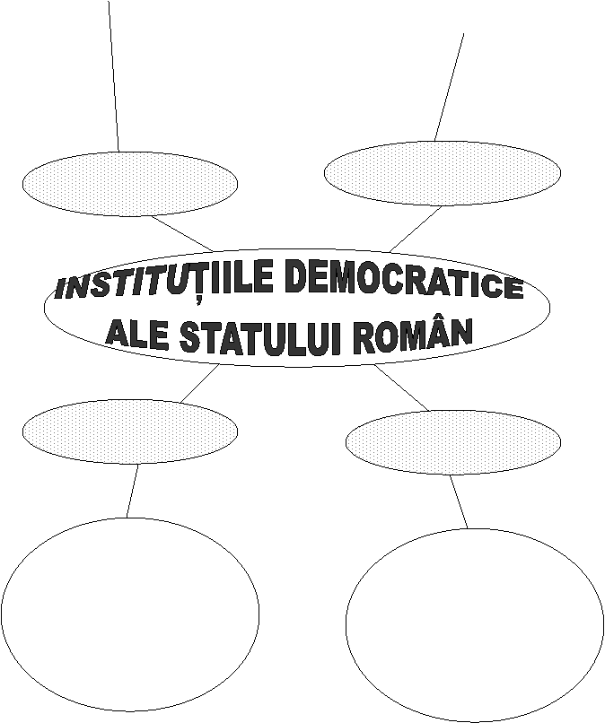 INSTITUTIILE DEMOCRATICE
ALE STATULUI ROMAN