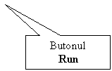 Rectangular Callout: Butonul
Run

