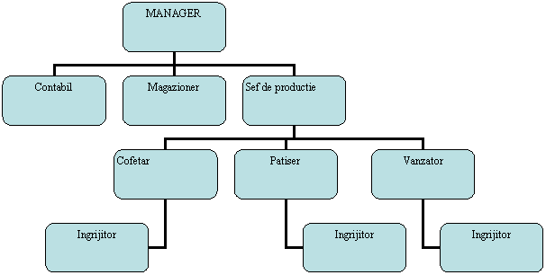 Organization Chart