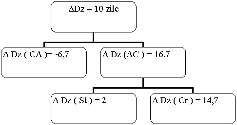 Organization Chart