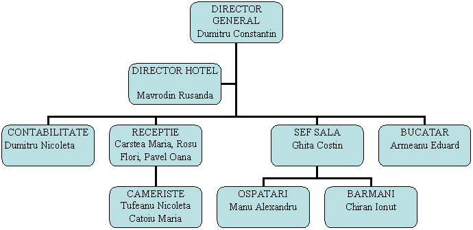 Organization Chart