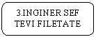 Rounded Rectangle: 3.INGINER SEF TEVI FILETATE