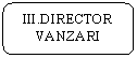 Rounded Rectangle: III.DIRECTOR VANZARI