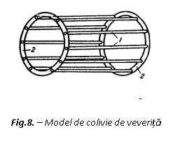 Text Box:  
Fig.8. - Model de colivie de veverita
