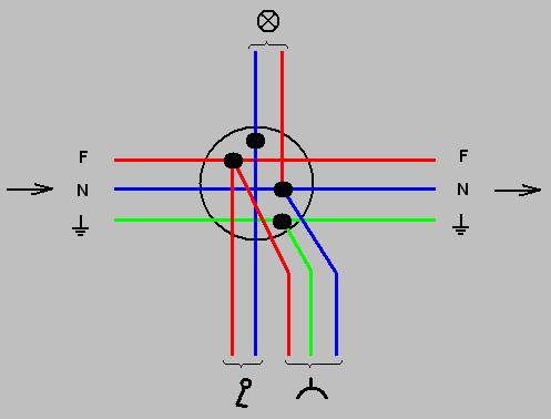 florarie6.JPG (14919 bytes)