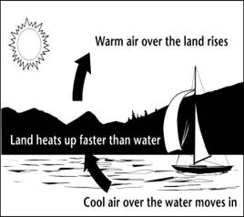 Image of how uneven heating of water and land causes wind. 

Land heats up faster than water.

Warm air over the land rises.

Cool air over the water moves in.