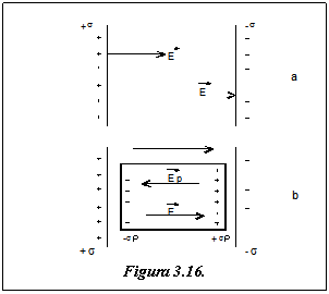 Text Box: 
Figura 3.16.
