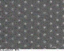 Electrochemically-based Chemical Sensors