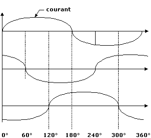 sinus