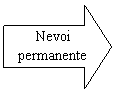 Right Arrow: Nevoi permanente