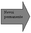 Right Arrow: Nevoi
permanente

