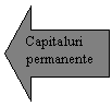 Left Arrow: Capitaluri 
permanente
