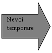 Right Arrow: Nevoi
temporare
