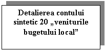 Text Box: Detalierea contului sintetic 20 