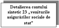 Text Box: Detalierea contului sintetic 23 