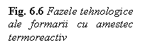 Text Box: Fig. 6.6 Fazele tehnologice ale formarii cu amestec termoreactiv

