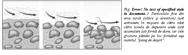 Text Box: Fig. Error! No text of specified style in document. 3 Particulele fine din aria sursa (siltice si arenitice) sunt antrenate in miscare de catre vant catre zonele de depunere unde sunt acumulate sub forma de dune, iar cele grosiere paman pe loc formand asa numitul 