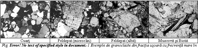 Text Box: 
Cuart Feldspat (microclin) Feldspat (albit) Muscovit si Biotit
Fig. 3 18 Exemple de granoclaste din fractia usoara cu frecventa mare in siliciclastite

