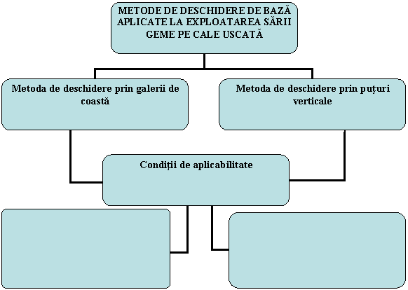 Organization Chart