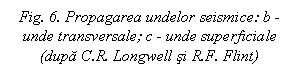 Text Box: Fig. 6. Propagarea undelor seismice: b - unde transversale; c - unde superficiale (dupa C.R. Longwell si R.F. Flint)