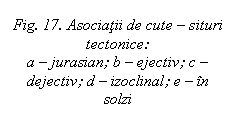 Text Box: Fig. 17. Asociatii de cute - situri tectonice:
a - jurasian; b - ejectiv; c - dejectiv; d - izoclinal; e - in solzi 

