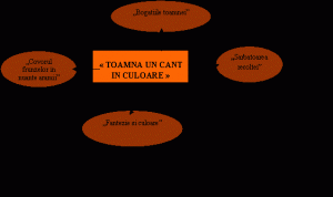 PROIECT