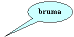 Oval Callout: bruma