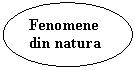 Oval Callout: Fenomene din natura